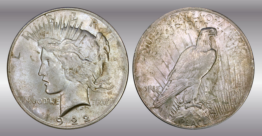 My-Raw-Peace-Dollar-Collection.-.-.-.-Warning!